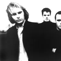 The Auteurs