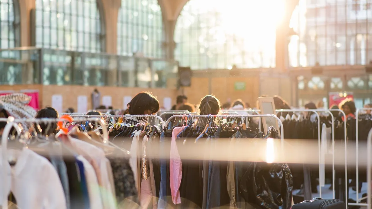 Vide-dressing géant Violette Sauvage