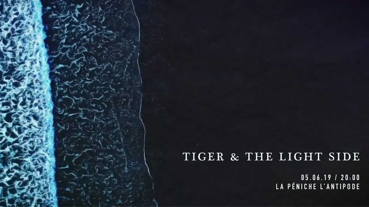 Tiger & The Light Side