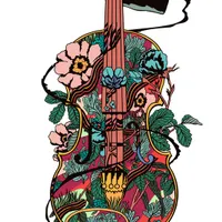 Lockeland Strings
