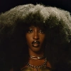 Ebony