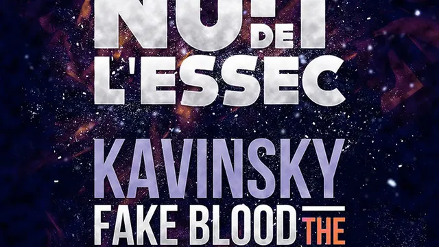 NUIT DE L'ESSEC 2013 presents Kavinsky - Fake Blood - The Supermen Lovers - Jupiter - Baadman