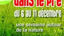 Le Bar Est Dans Le Pré