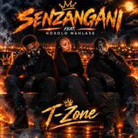 T-Zone