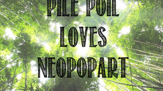 Pile-Poil loves Neopopart