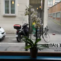 Le Petit Matieu