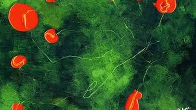 Alicia Lefebvre - Réappropriation