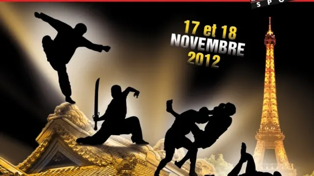 1er Open de France de Wushu