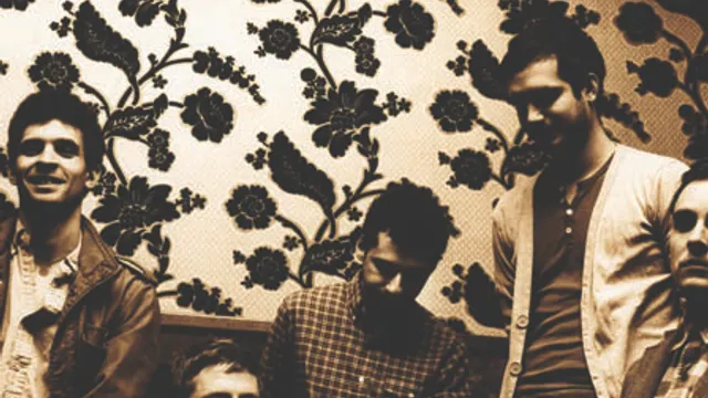 White Rabbits