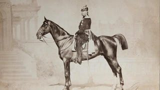 Voilà les Delton