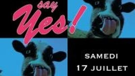 Say Yes !