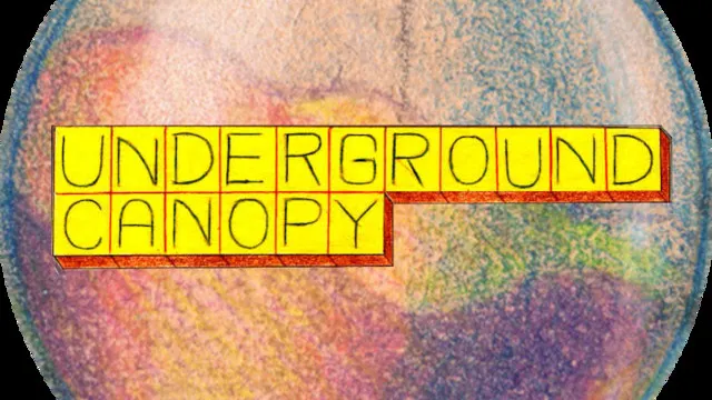 Underground Canopy + Samuel Paoli
