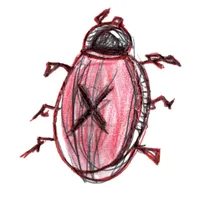 Coccinelle