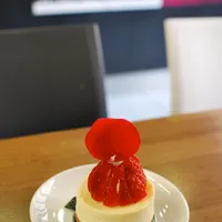 She's Cake