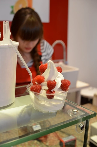 Yogurt Factory Shop Paris