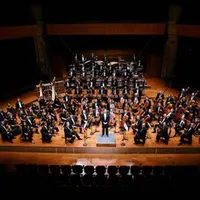 Orchestre National Du Capitole De Toulouse