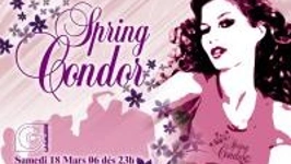 Spring Condor