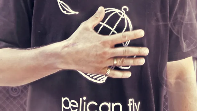 Pelican Fly