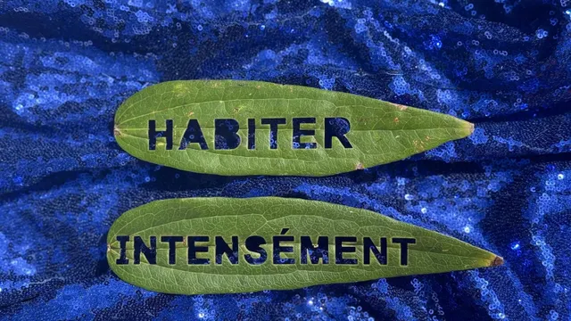 Habiter intensément (CHANTIER DES AUTEUR·ICES)