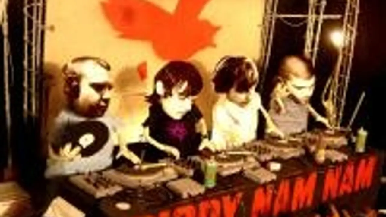 Birdy Nam Nam