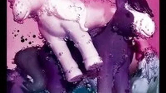 A Glass Of Pony