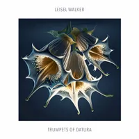 Leisel Walker
