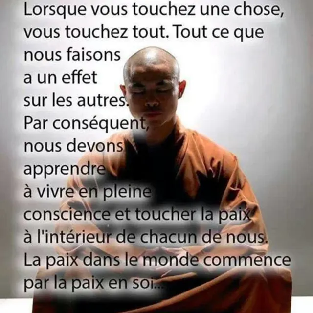 Chatton C