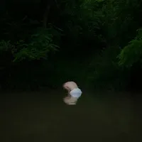 FRANK
