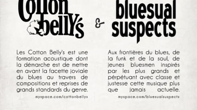 Acoustic & Electric Bluesy Night aux Disquaires