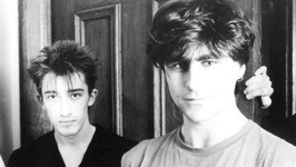 The Chameleons