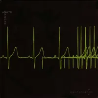 Usurp Synapse