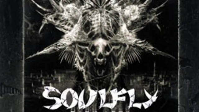 Soulfly en concert