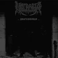 Natremia