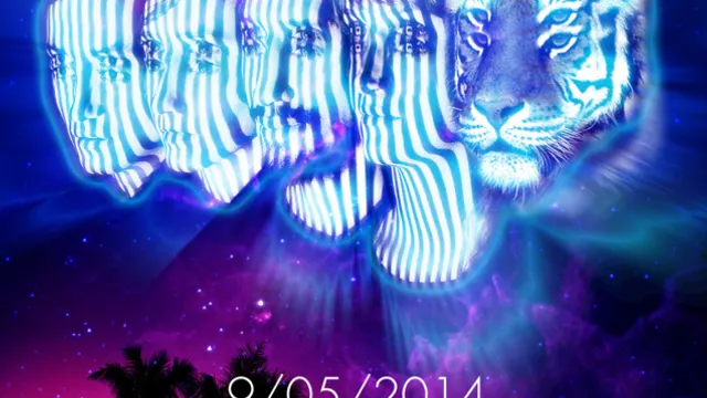 Concert Les Tigres du Futur & Calypso