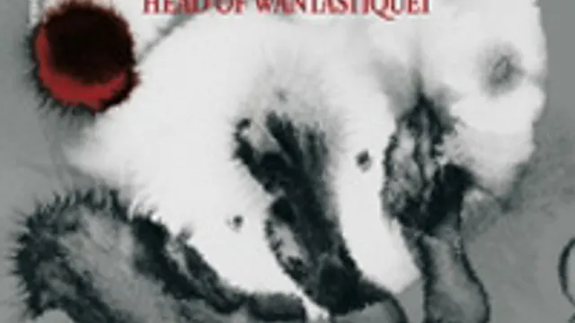 RED SPAROWES + HEAD OF WANTASTIQUET