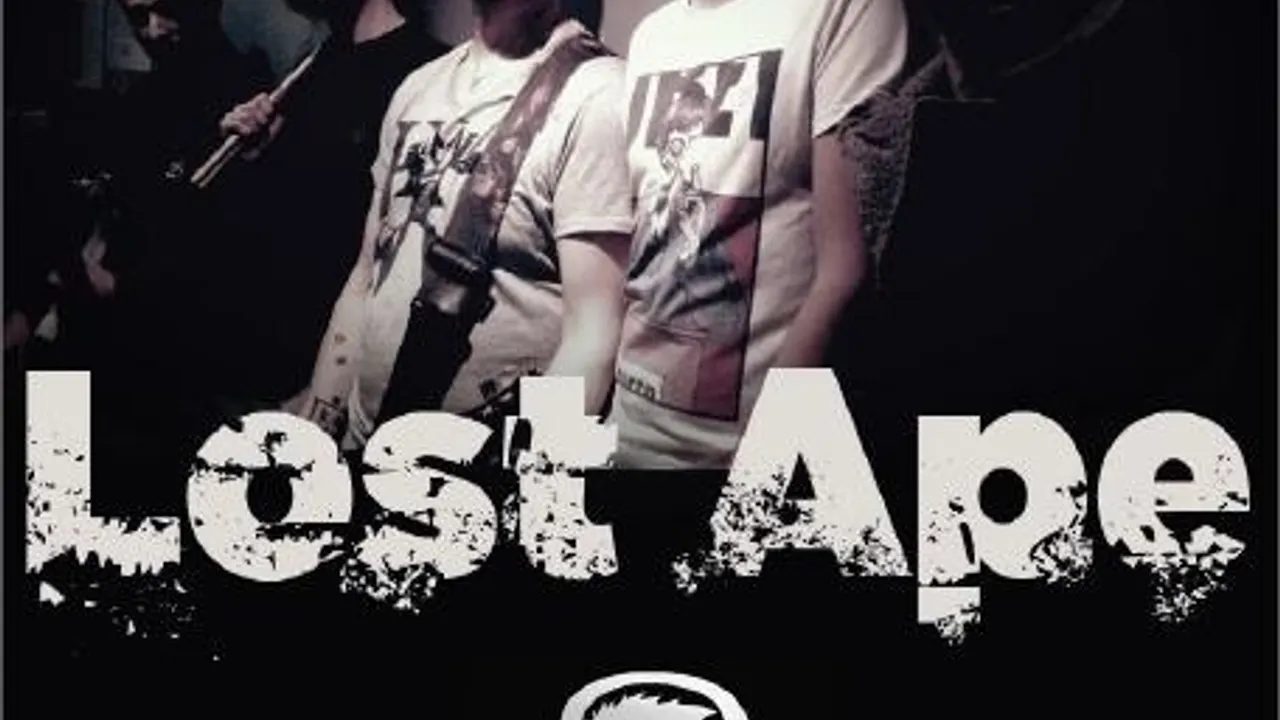 Concert du groupe Lost Ape