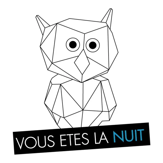 VOUS ETES LA NUIT #