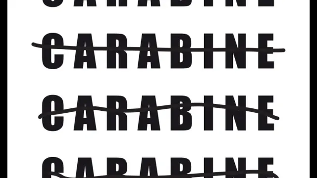 Carabine, pas Carabine ?! #2
