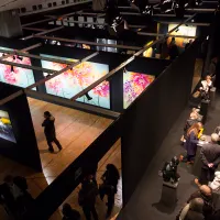 Salon des Beaux Arts 2017