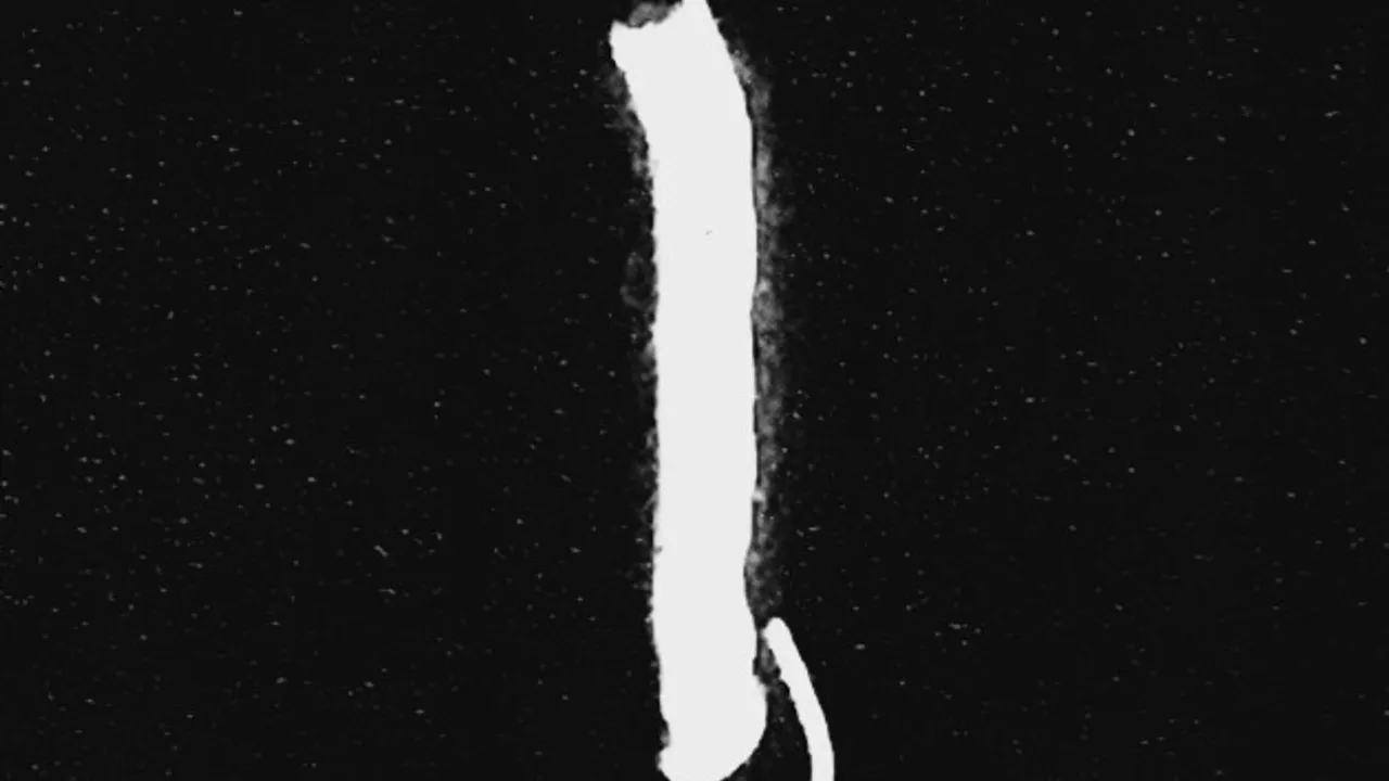 Channel Dixneuf - Infinite bisous 