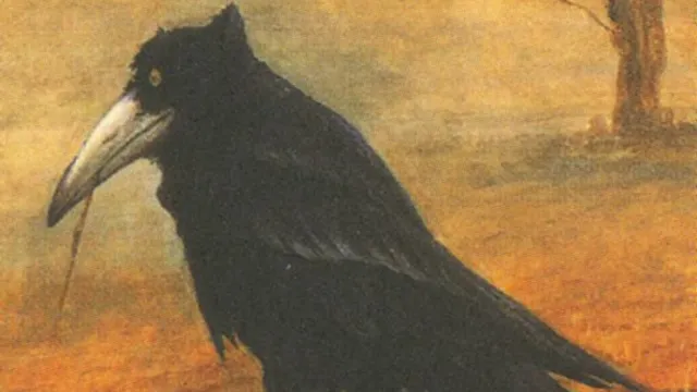 Le corbeau vient le dernier