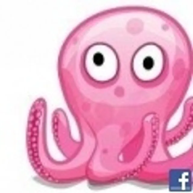 Octo P