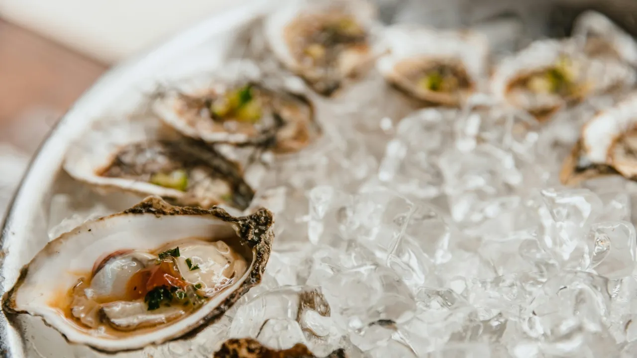 Happy Oyster