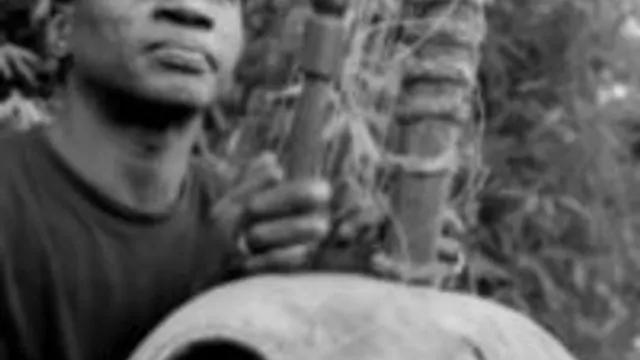 Djéli Moussa Condé trio (Guinée)