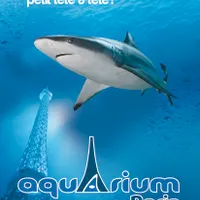 @cineaqua
