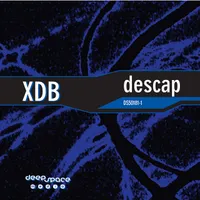 XDB