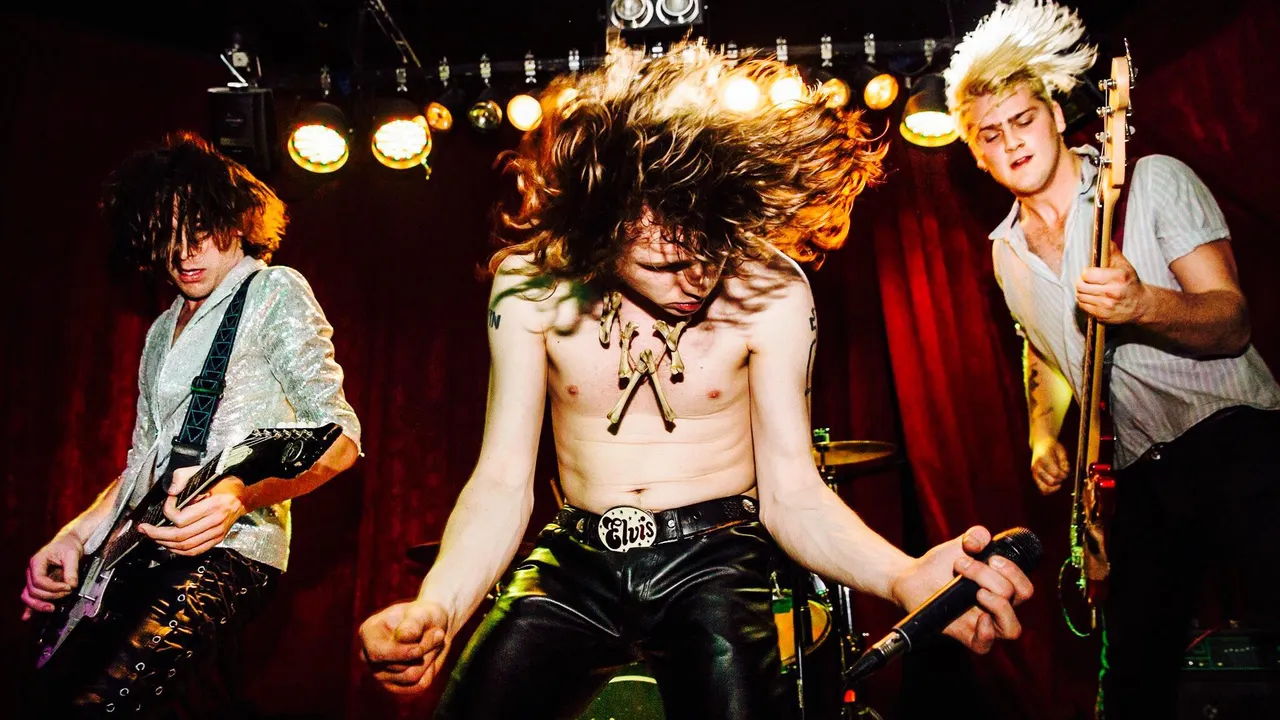 THE CAVEMEN (NZ) + HUMAN TOYS + THE SHAKES