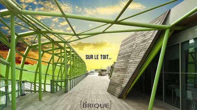 LA BRIQUE sur le toit