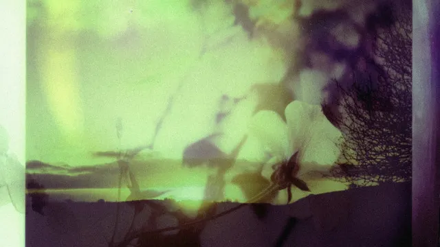 Decompression: Welcome to the Jungle feat. Decibella
