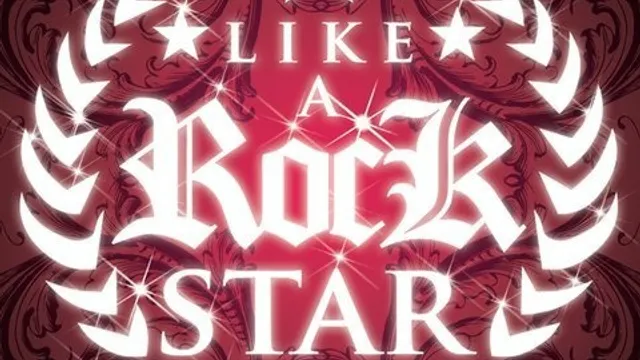 PARTY LIKE A ROCK STAR